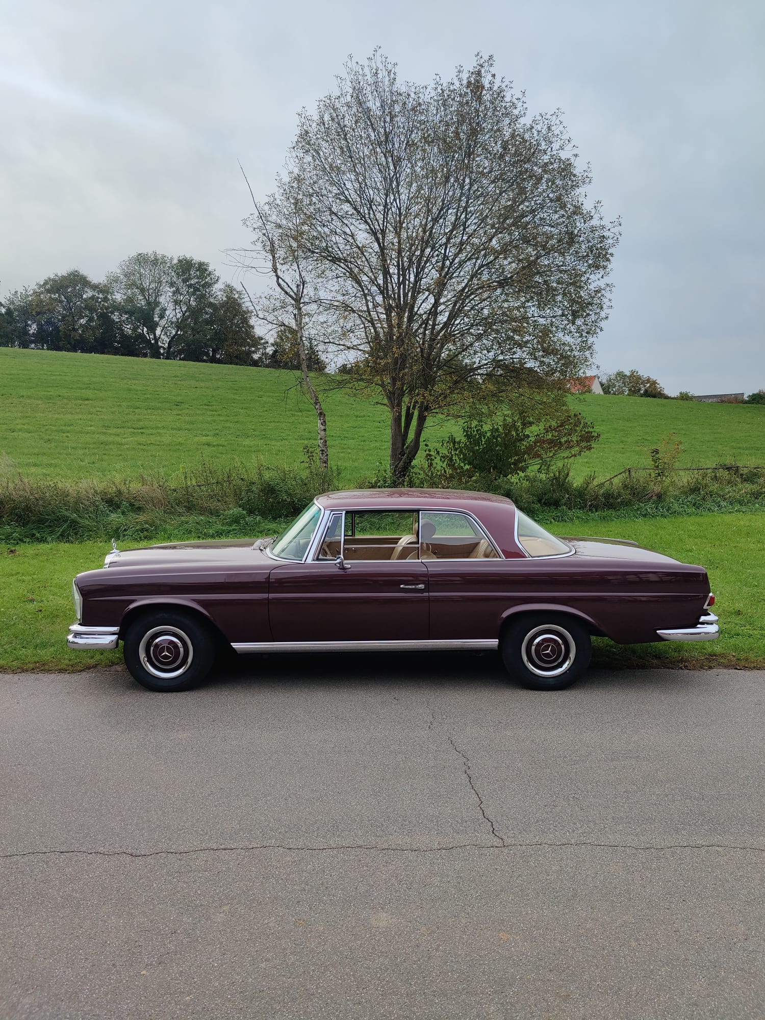 ein echtes Schmuckstück:  220SE (W111) Baujahr 1964 mit weitgehend originaler Substanz